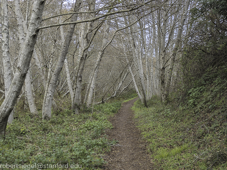 point reyes